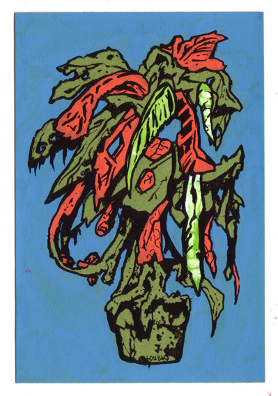 31